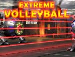 Volei extrem