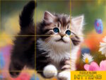 Puzzle Pisicuțe Alunecătoare