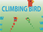 De divinitate, Climb Bird